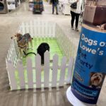 lowes is a dog friendly store in maine