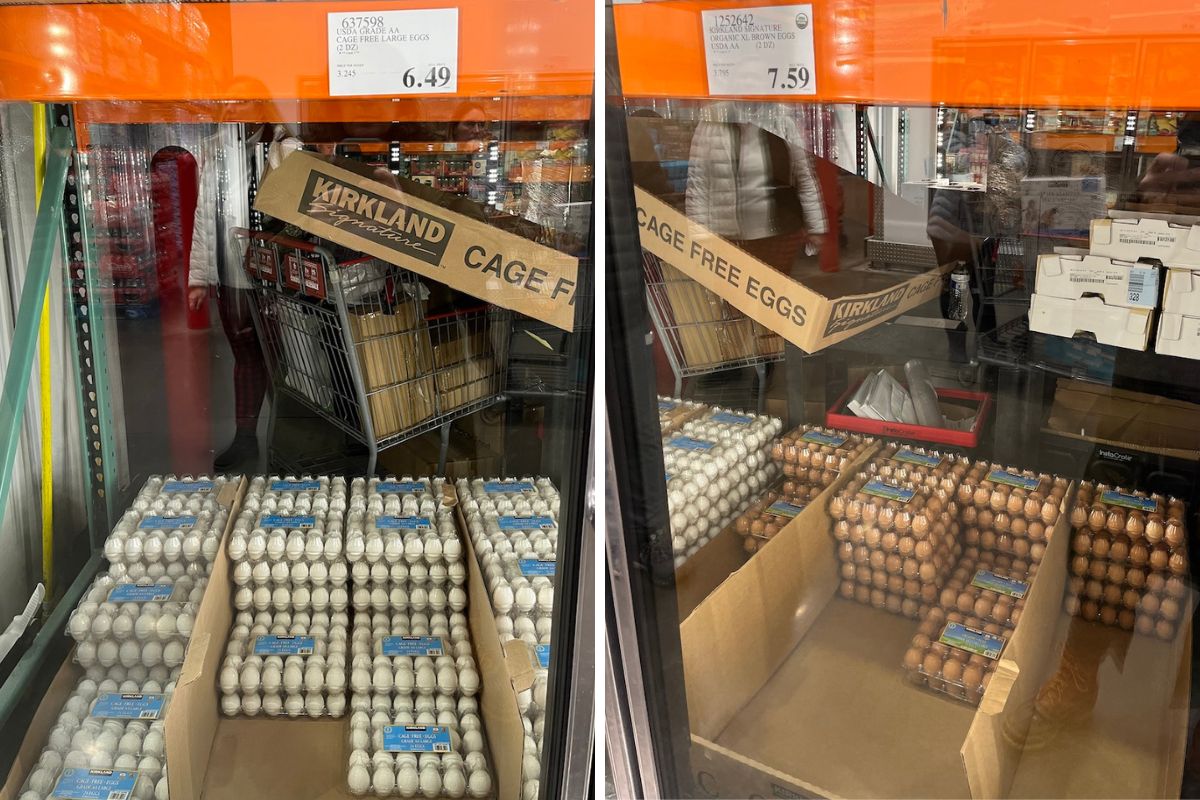 Savings Tips for Rising Egg Prices