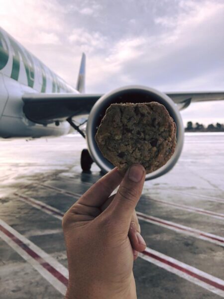 national-cookie-day-at-portland-maine-jetport