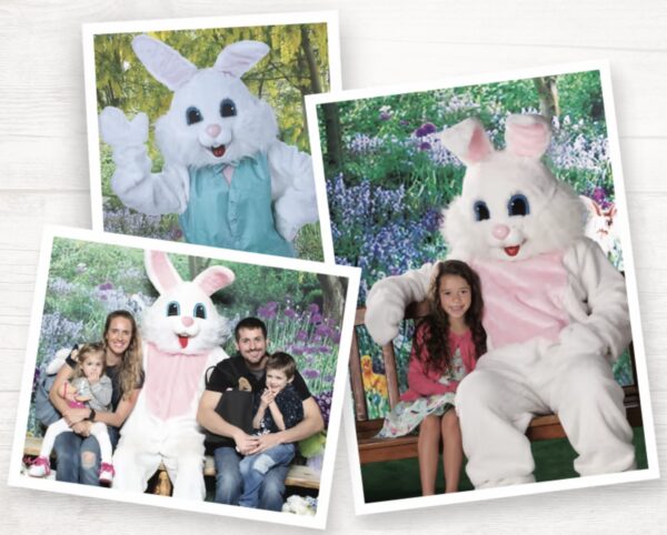 Free Pictures with the Easter Bunny - Southern Maine on the Cheap