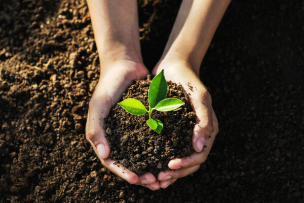 Earth day in maine featured image,