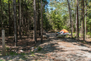 Blackwoods Campground in Acadia National Park in Maine, United States