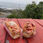 maine-and-connecticut-lobster-rolls-cape-elizabeth