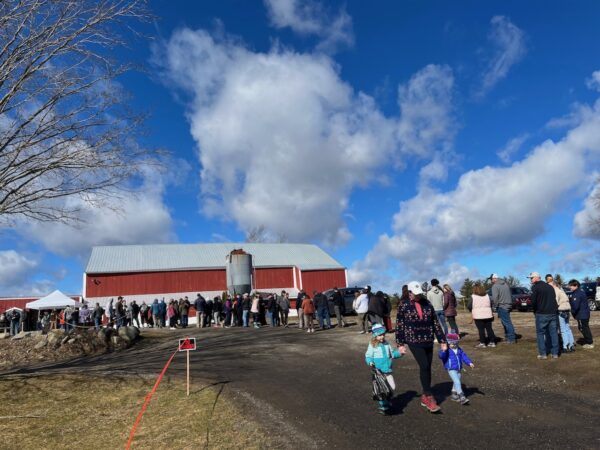 207 tappers biddeford maine maple sunday spring