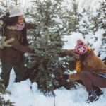 maine christmas tree farms featured image