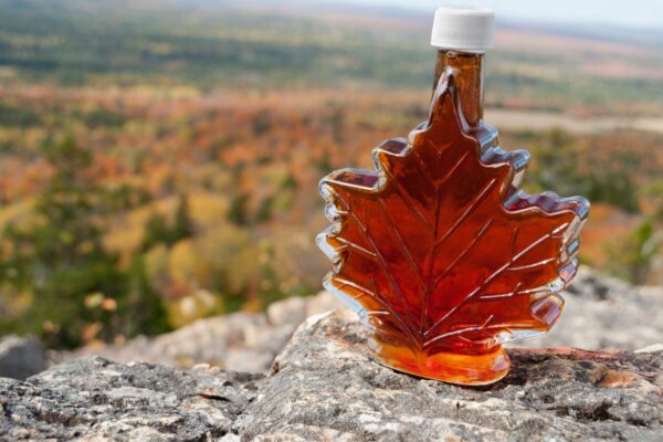 maine maple fall fest foliage featured syrup bottle