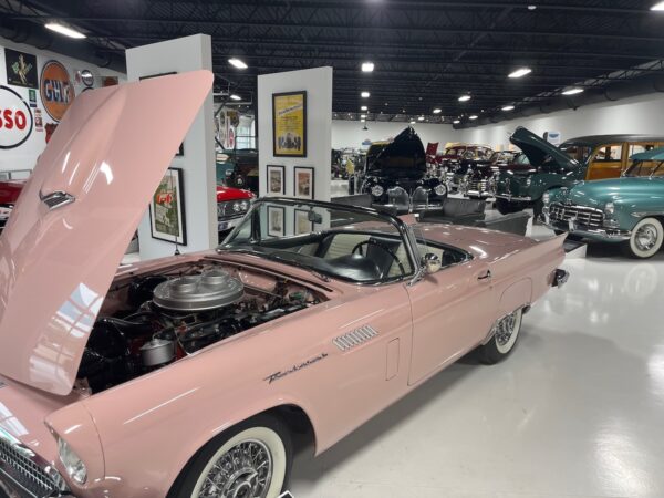 pink under the hood thunderbird