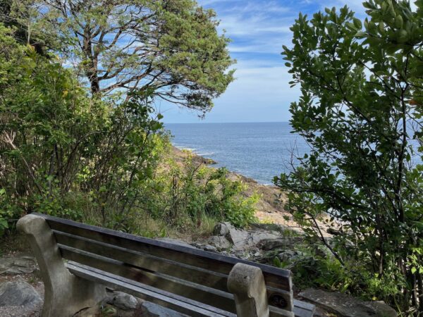 secluded park bench overlooking cliff on marginal way