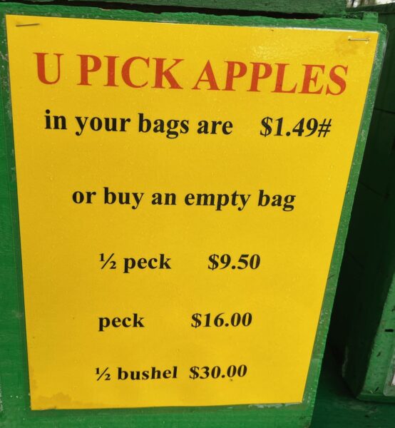 u pick apple prices