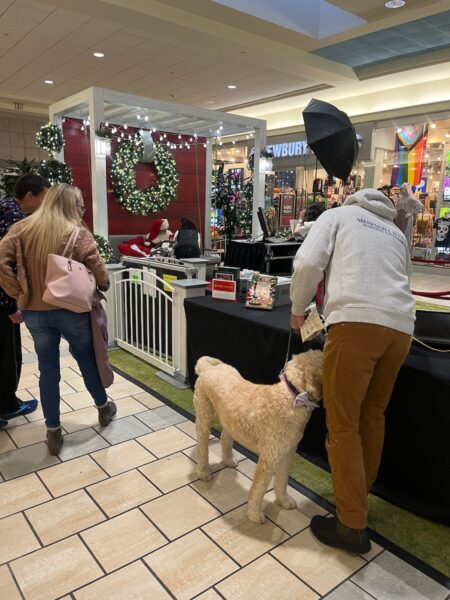 another other dog waitng for pictures with santa