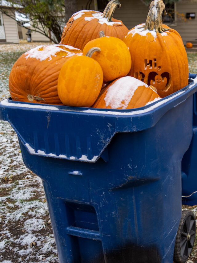 What to Do with Pumpkins After Halloween