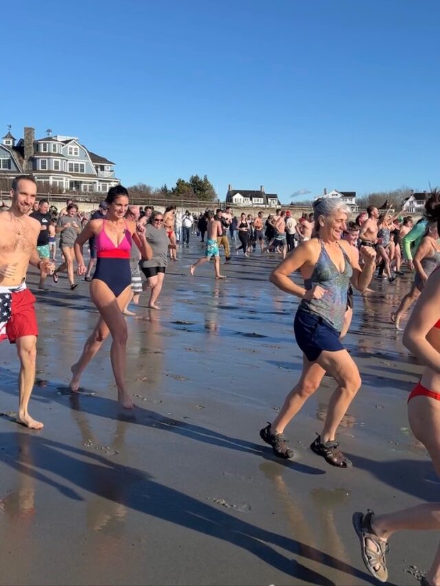 Polar Bear Plunges Near Portland Maine