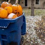 Giant pumpkins sitting in a trash dumpster waiting for garbage pickup after Halloween. Concept for changing seasons, food waste.