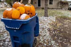 Giant pumpkins sitting in a trash dumpster waiting for garbage pickup after Halloween. Concept for changing seasons, food waste.