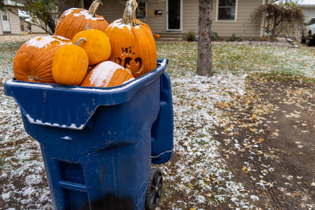 What to Do with Pumpkins After Halloween - Southern Maine on the Cheap
