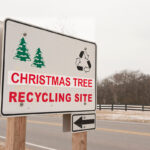 Christmas Tree Recycling