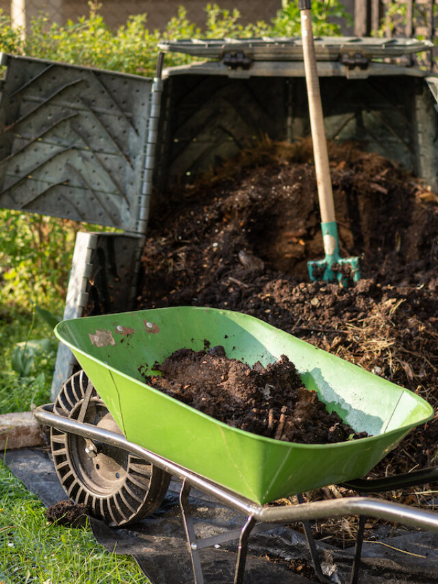 Home Composting for Beginners