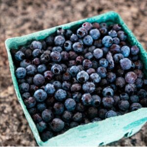 fresh wildblueberries in container wbana source