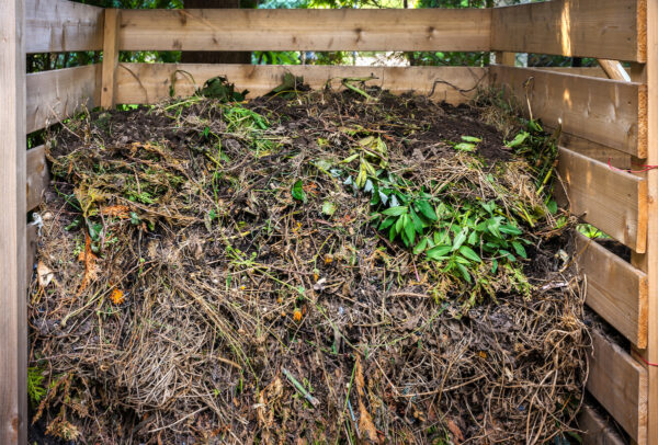 Organic yard waste in wooden compost box for backyard garden composting