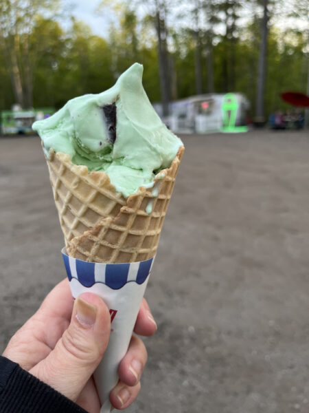 Mint Chocolate Chip cone from Sprinkles