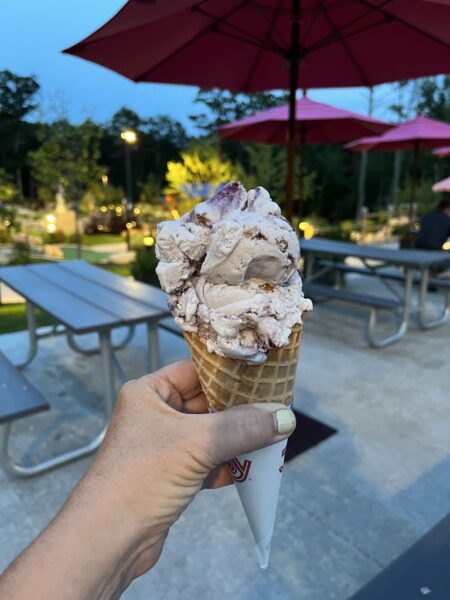 A Blueberry Cone from Wicky Ralph's