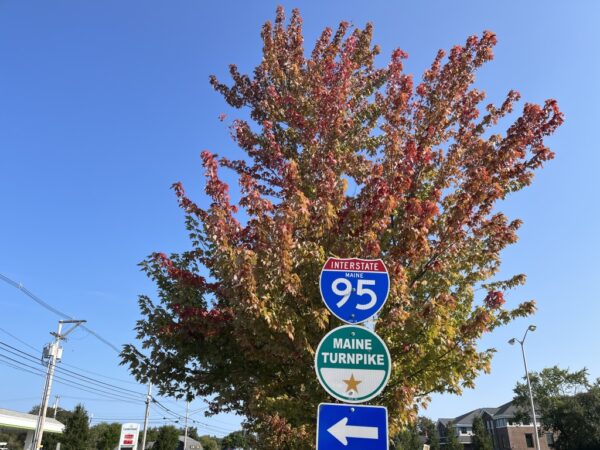 An autumn tree with the I95 sign