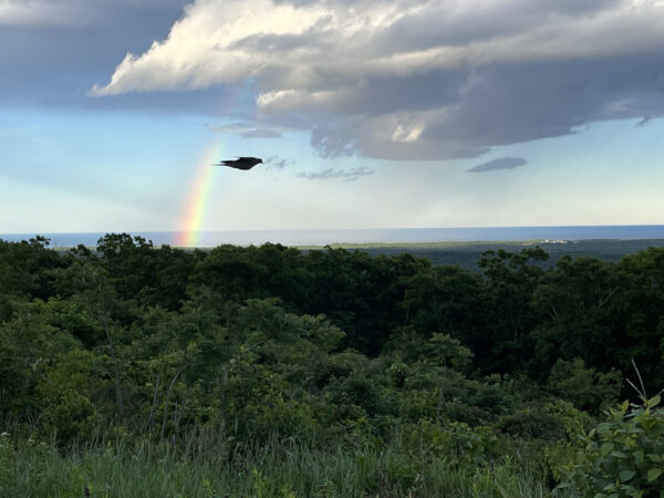 A rainbow view from Mt. Agamenticus