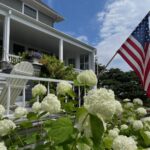 An American flag displayed on a porch in front of white hydrangeas.