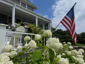 An American flag displayed on a porch in front of white hydrangeas.