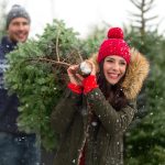Two people holding cut Christmas tree.