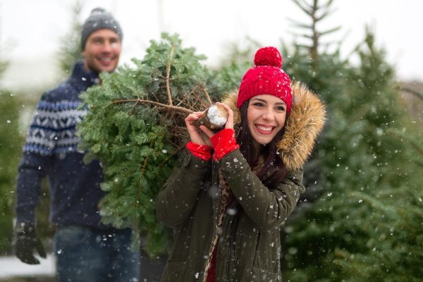 Two people holding cut Christmas tree.