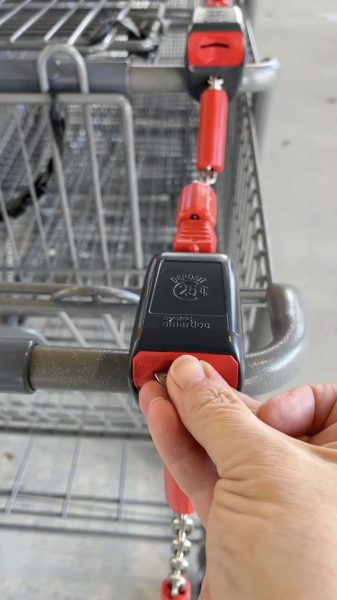 Hand putting quarter in shopping cart.